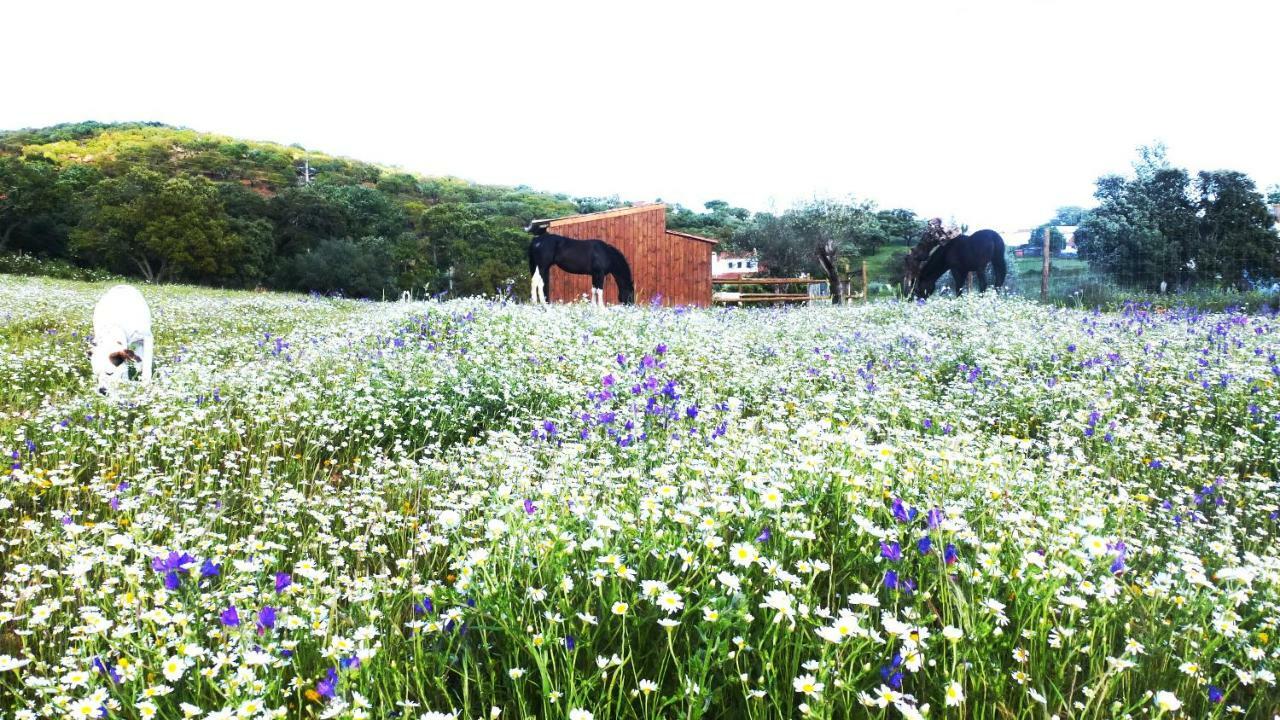 Sharish - Monte Das Estevas เอสเตรมอซ ภายนอก รูปภาพ