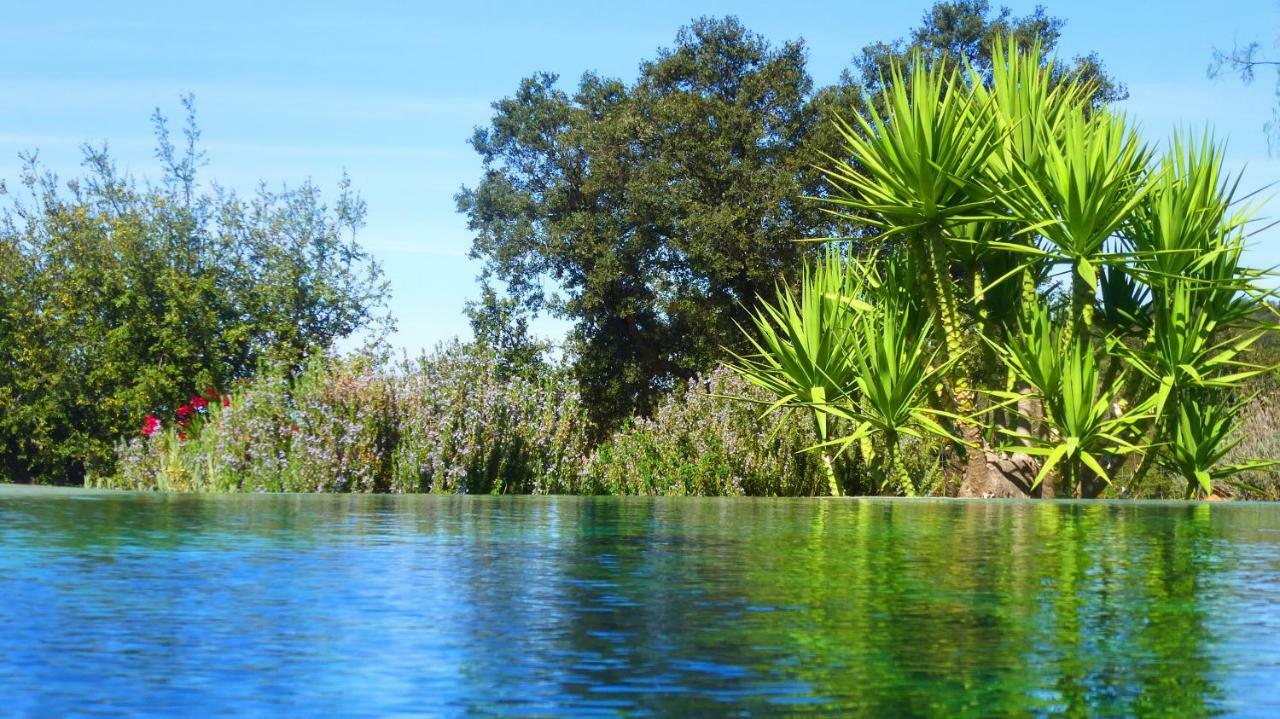 Sharish - Monte Das Estevas เอสเตรมอซ ภายนอก รูปภาพ